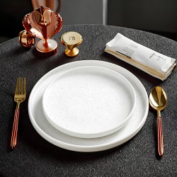 Elegant Italian Restaurant Steak Plate Speckled Glaze Ceramic Pizza Plate White Flat Dinner Plate with Rim