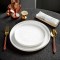 Elegant Italian Restaurant Steak Plate Speckled Glaze Ceramic Pizza Plate White Flat Dinner Plate with Rim